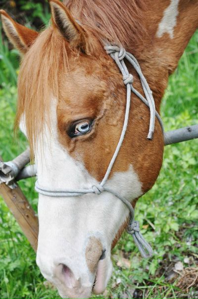 №93, Lena Bigus, Москва №93, Lena Bigus, Москва