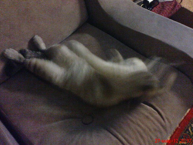 Елена Ленькина &Николаевна | Бийск