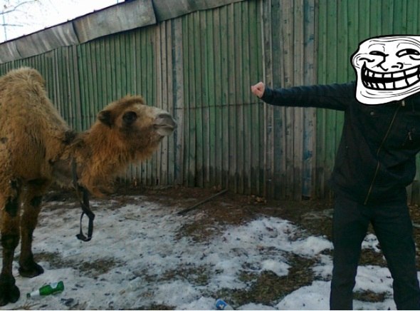 Алексей Долганов | Мальцево