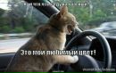 Фотография Дима Максимов