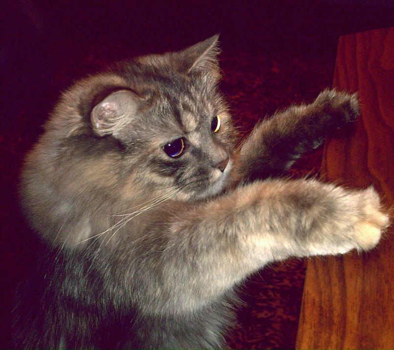 Настя Аперян | Калуга