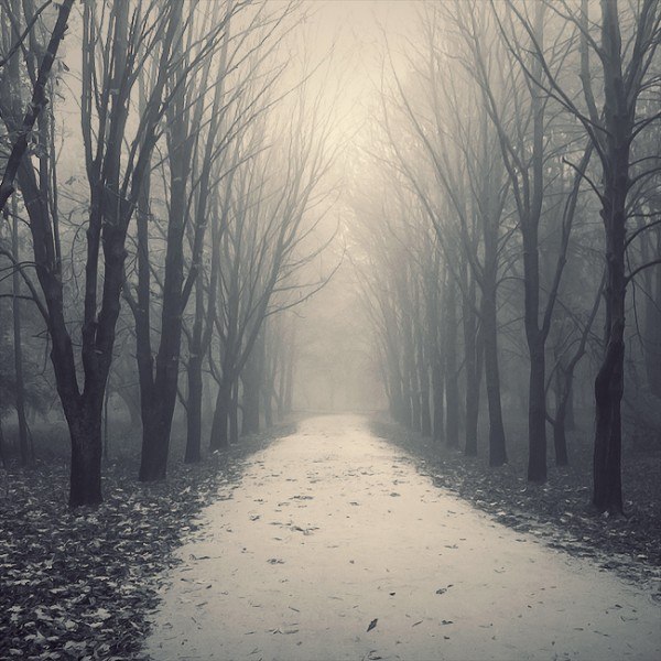 Мария Лилло | 