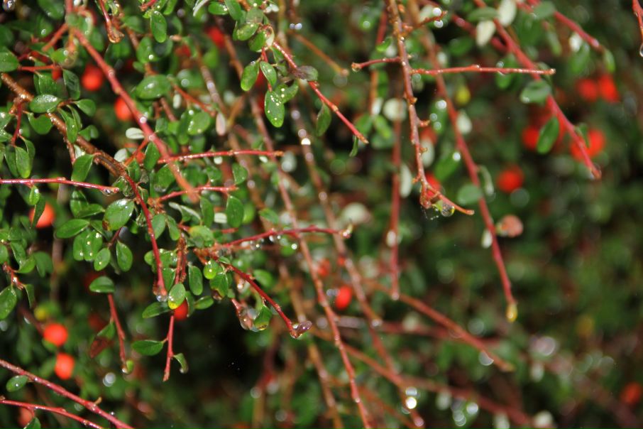 №4, Ольга Волкова, 39 лет, Николаев №4, Ольга Волкова, 39 лет, Николаев