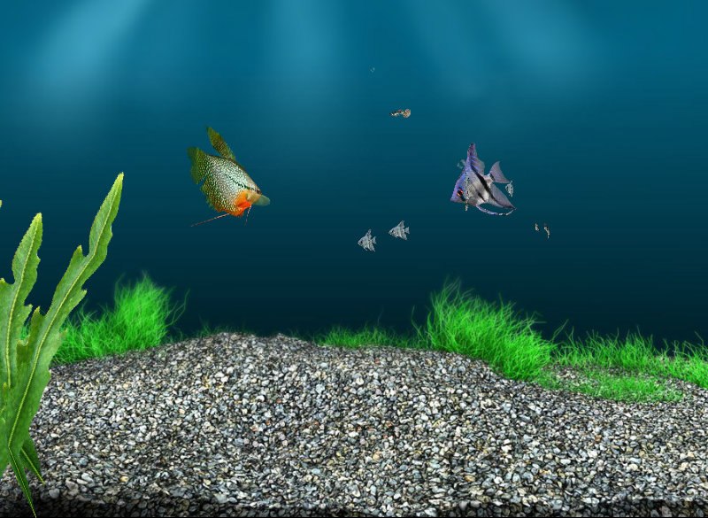 Маша Черновцева | 