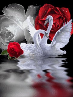 Ирина Котенко | Днепр (Днепропетровск)