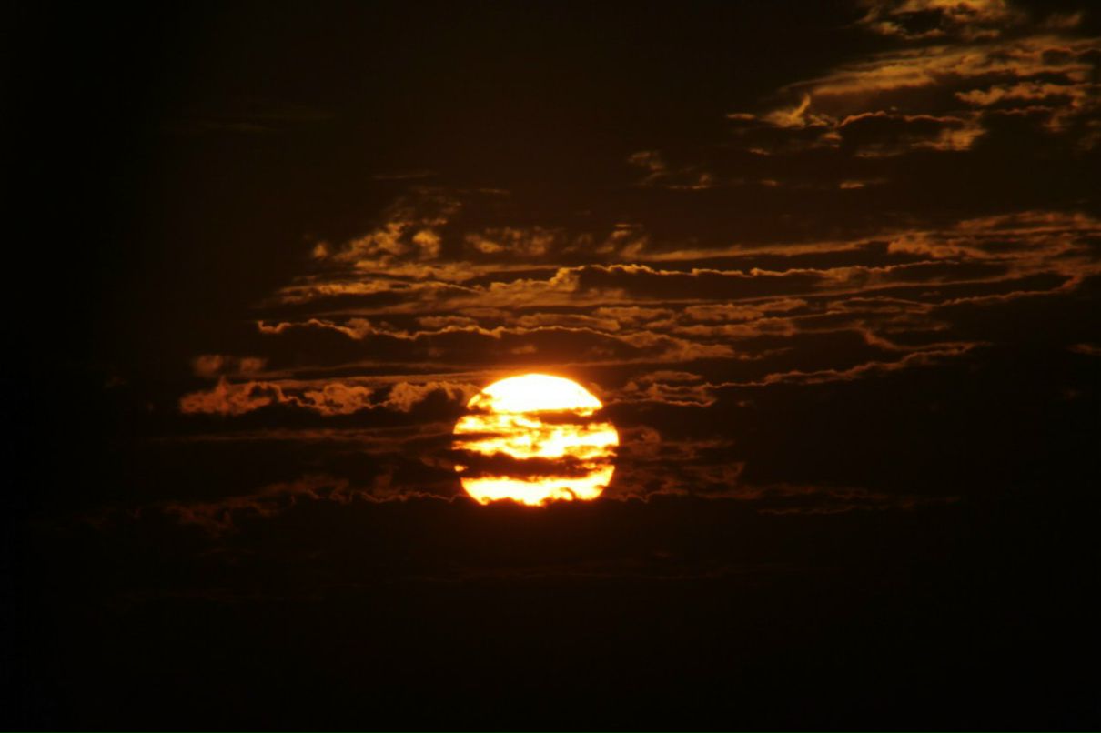 Илья Щербаков | Bat Yam