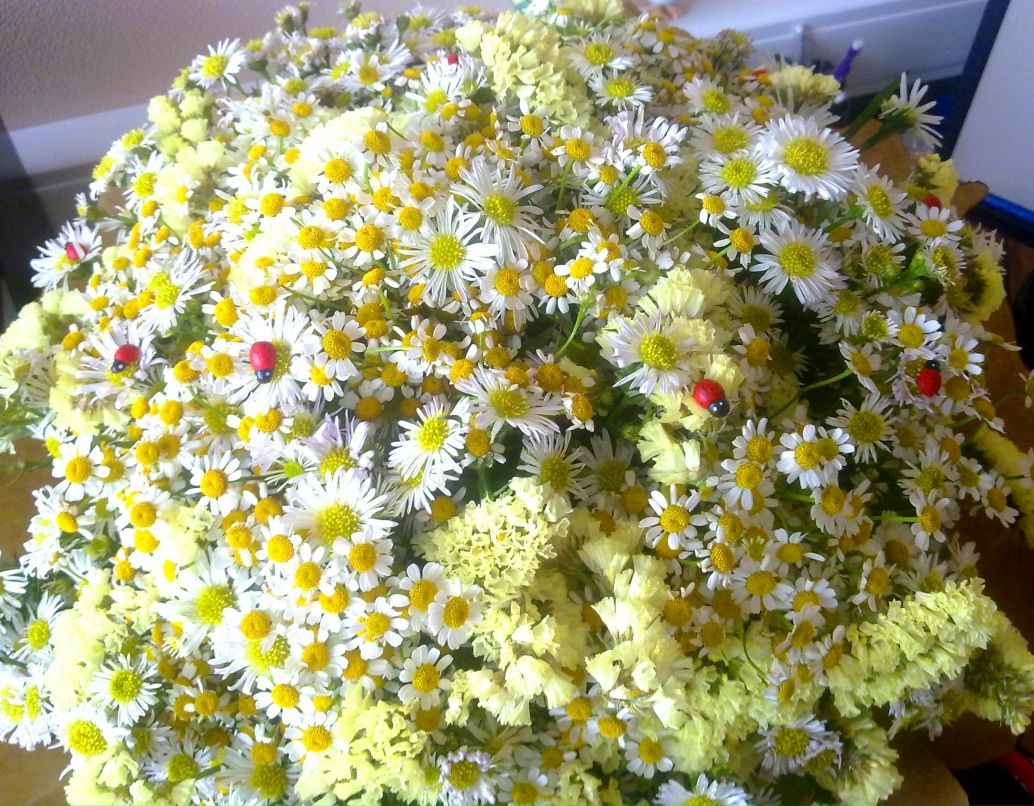 Ксения Чернова | Москва