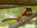 №30 Яна Ермоленкова : профиль, фото, статус - ВКонтакте