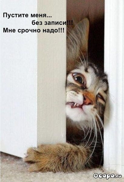 №6, Наталья Степанова, 39 лет, Киев №6, Наталья Степанова, 39 лет, Киев