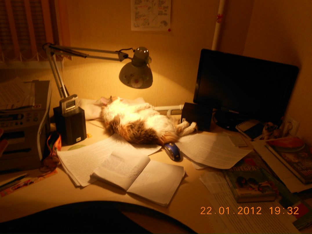 Людмила Норенко | Чернигов