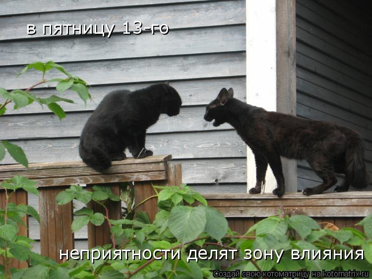 Эльвира Курамшина | Пенза