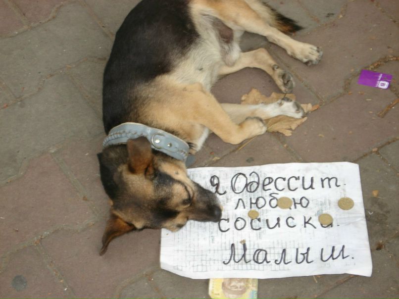 Ангелина Штыпуляк | 