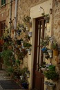 Фотография Мустафиной Эльмиры
