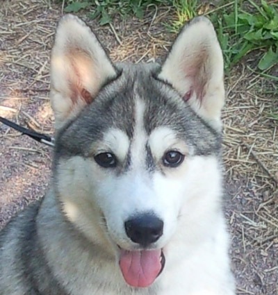 №96, Юлия Ширлыкова, Санкт-Петербург, Россия №96, Юлия Ширлыкова, Санкт-Петербург, Россия