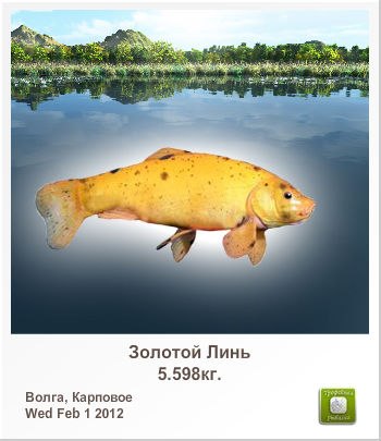 Александра Зеленская | Могилев-Подольский