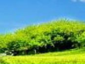 Денис Жарко (^^,) | Чернигов