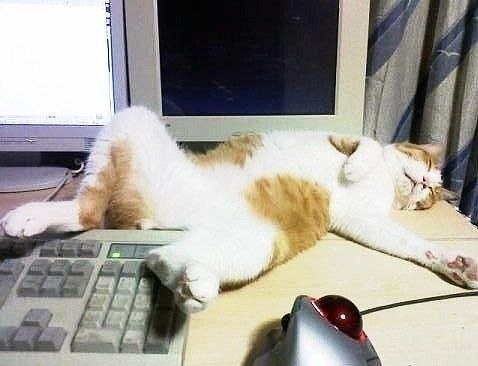 Серёга Бойков | Новокузнецк