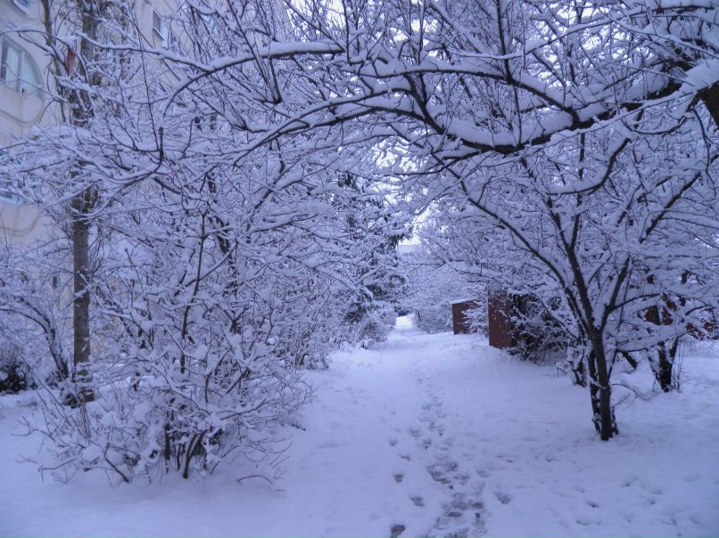 Виталий Серверов | 