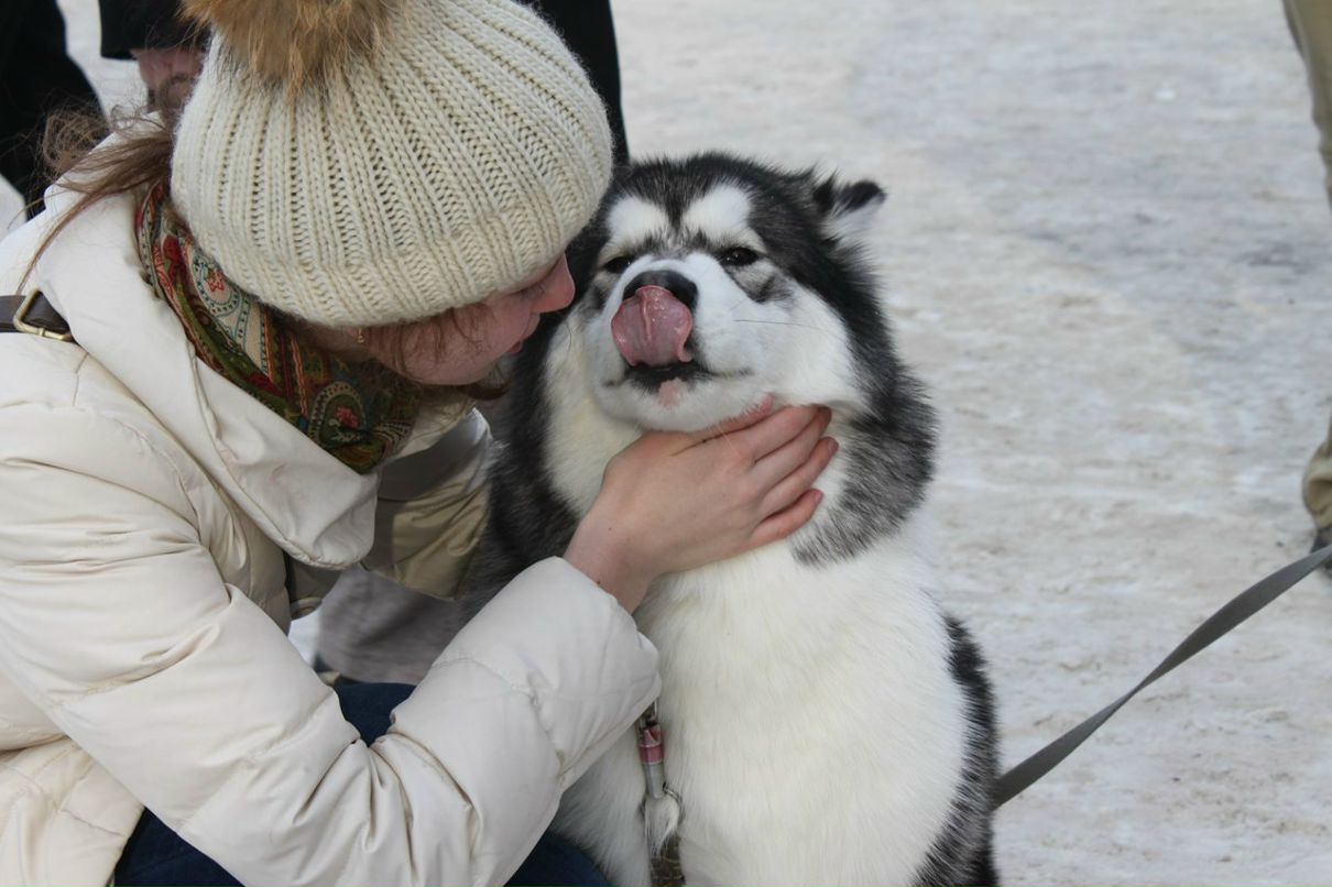 Катерина Аветисова | Москва