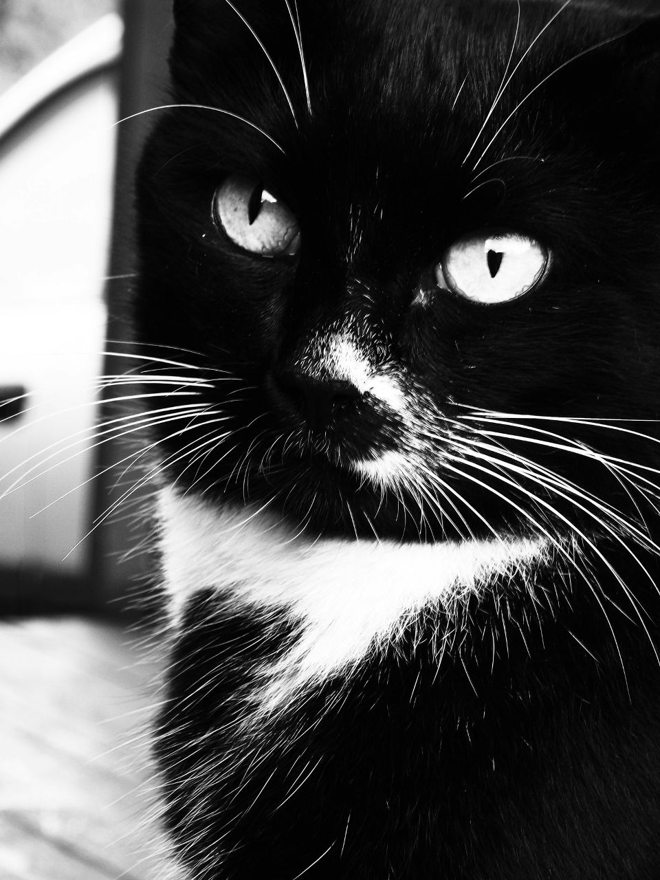 Ната Ткаченко | Иркутский