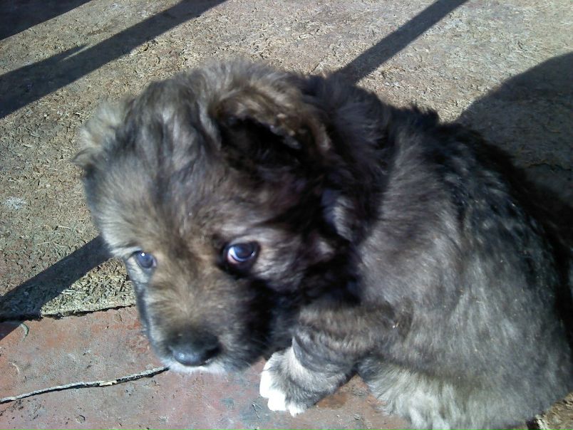 №32, Ксюша Маркова, 35 лет, Якутск №32, Ксюша Маркова, 35 лет, Якутск