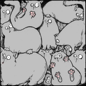 №115, Татьяна Иконникова, 43 года, Halle (Saale), Германия №115, Татьяна Иконникова, 43 года, Halle (Saale), Германия