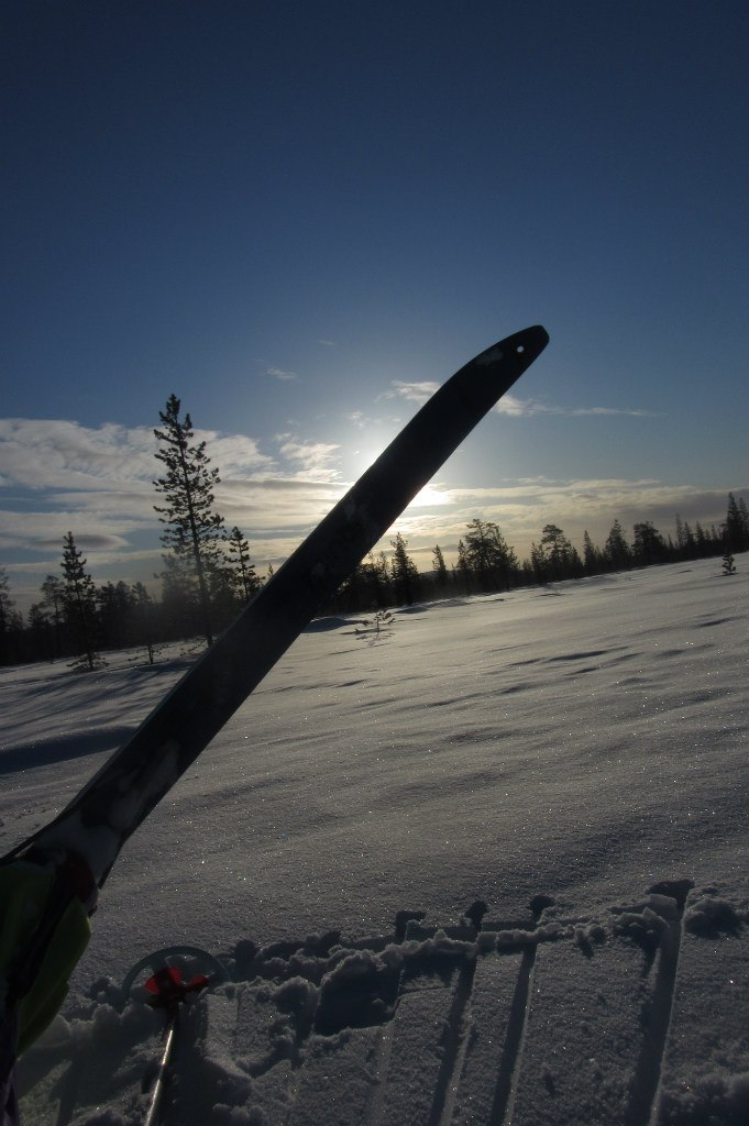 Арсений Петрик | Харьков