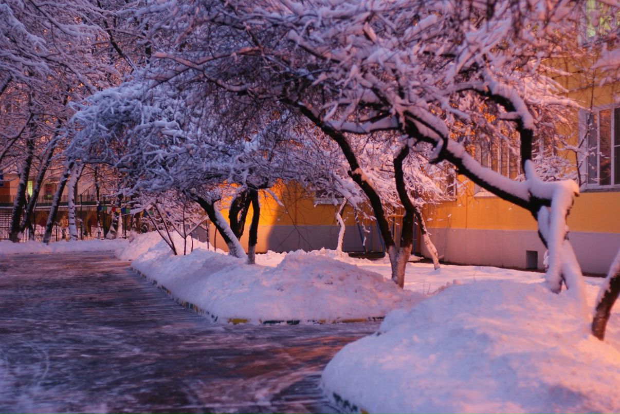 Сергей Емельянов | Москва
