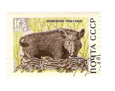 Жека Карпичев | Череповец