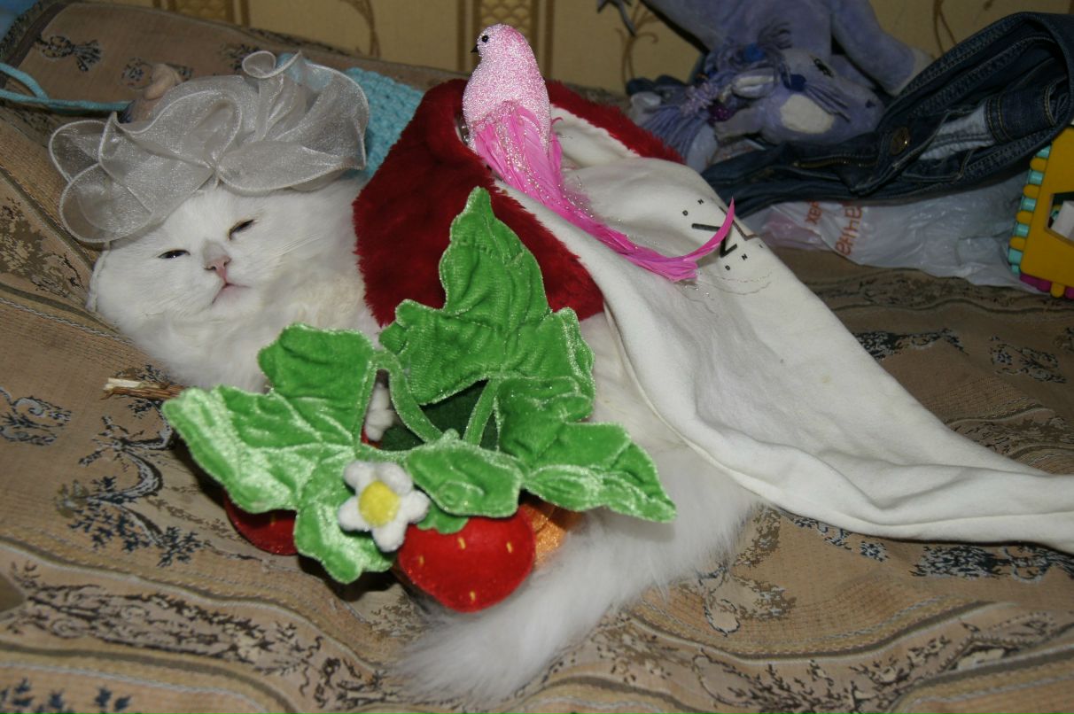 Наталья Ванина (Плигина) | Санкт-Петербург