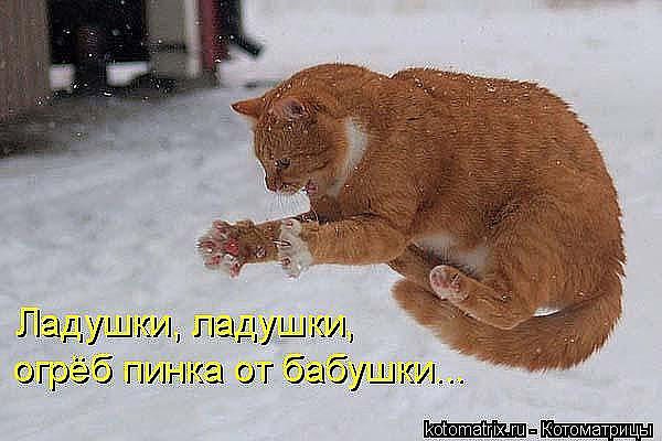 Евгения Пронина-Трифонова | Калининград