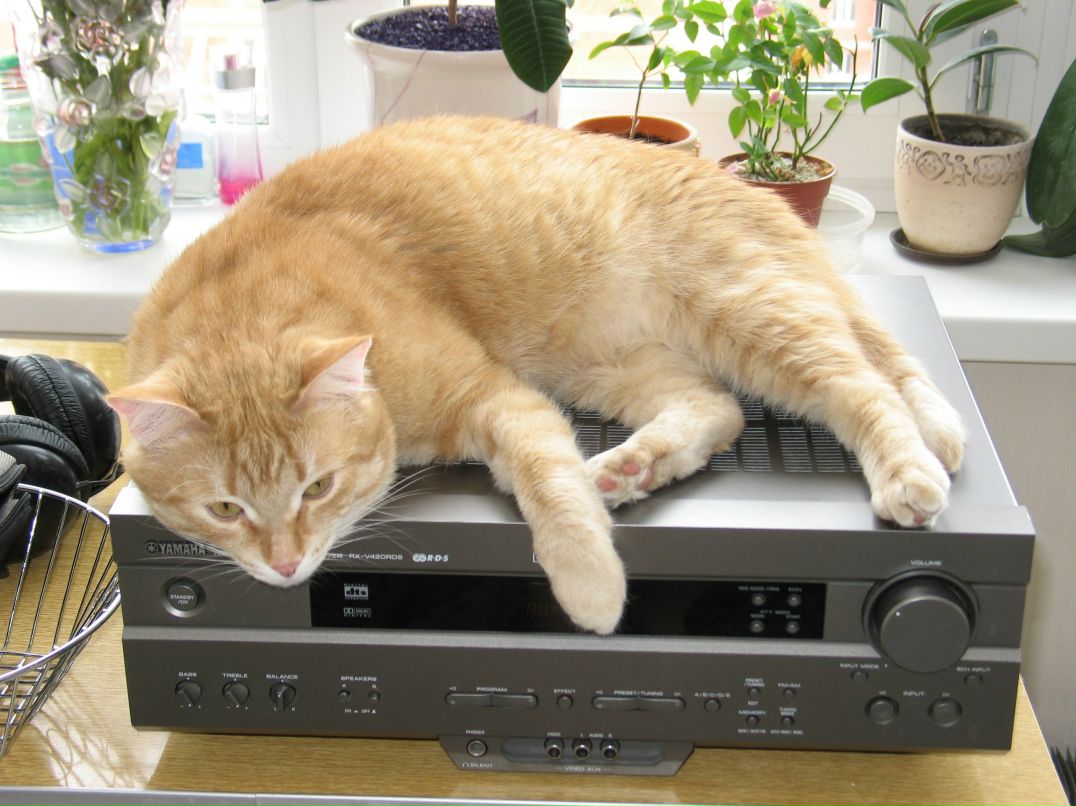 Анастасия Меняк | Москва