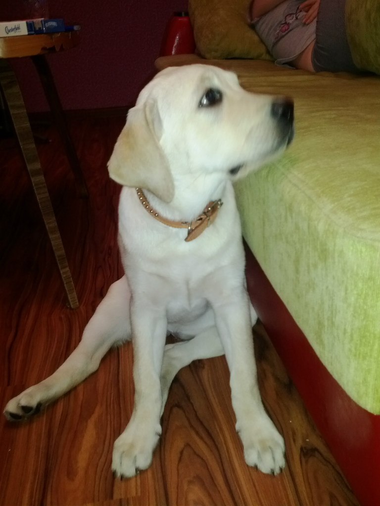 Михаил Пятаков *PiF* | Пермь