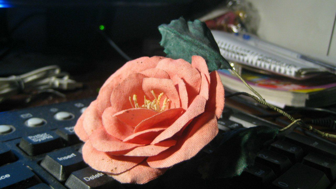 Марина Джус | Москва