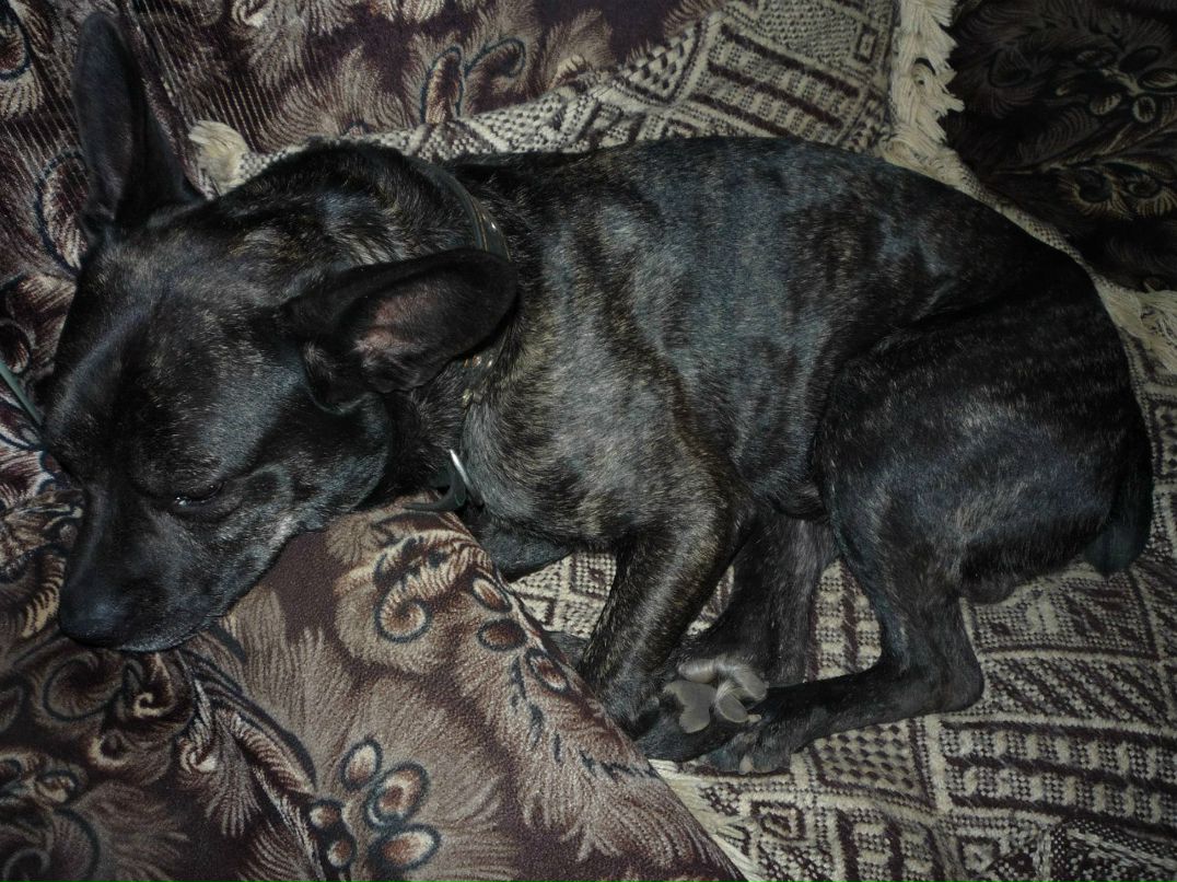 Артемий Перминов | Вышний Волочек