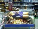 Фотография Настя Новикова