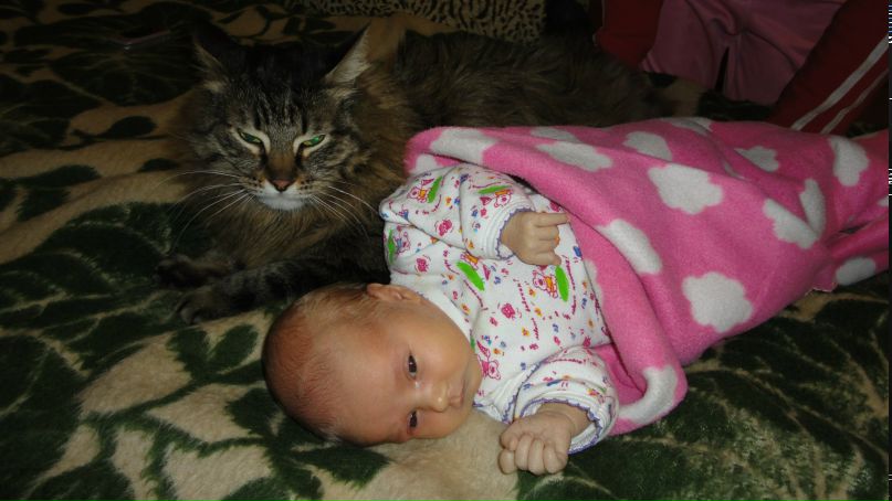 Людмила Мерзленко | Москва