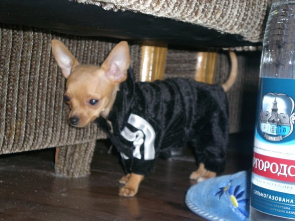 Наталья Панченко | Киев