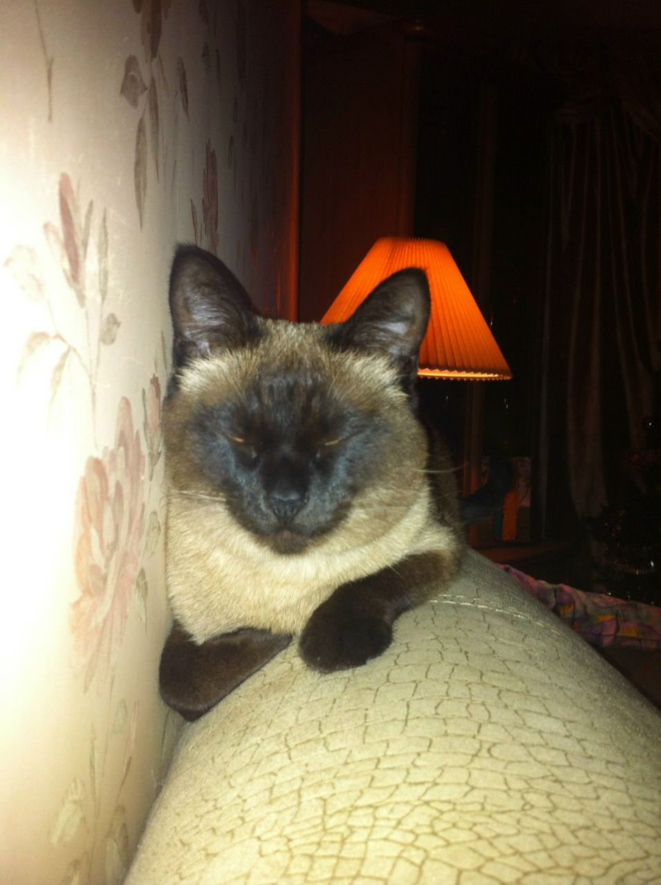 Петро Петров | Москва