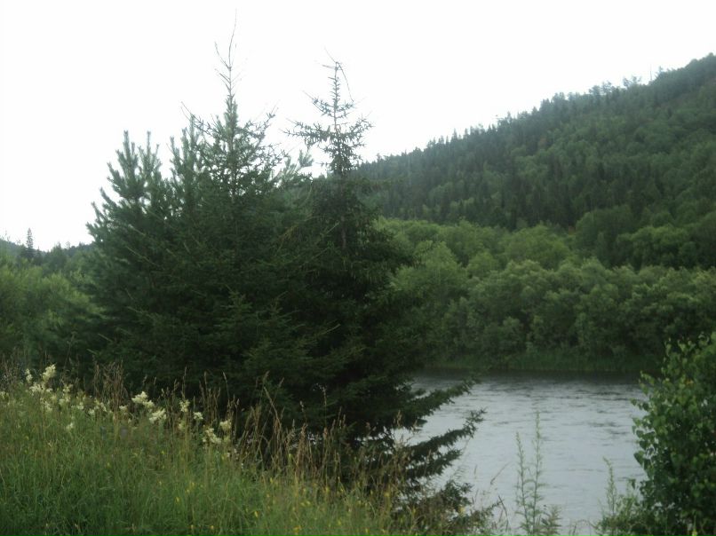 Олеся Конанкова Витальевна | Красноярск