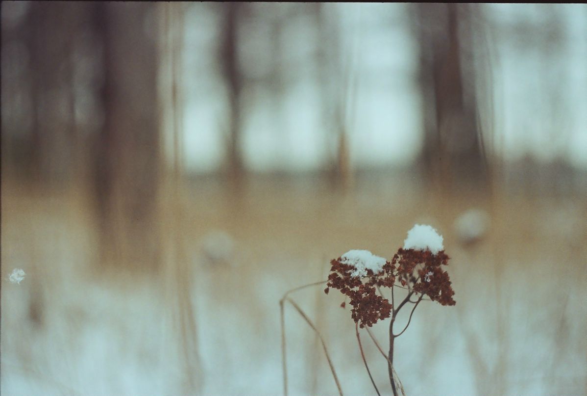 Евгений Корсяков Nail | Санкт-Петербург