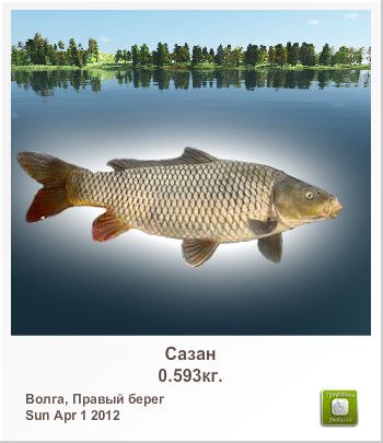 Лёха Полунин | 