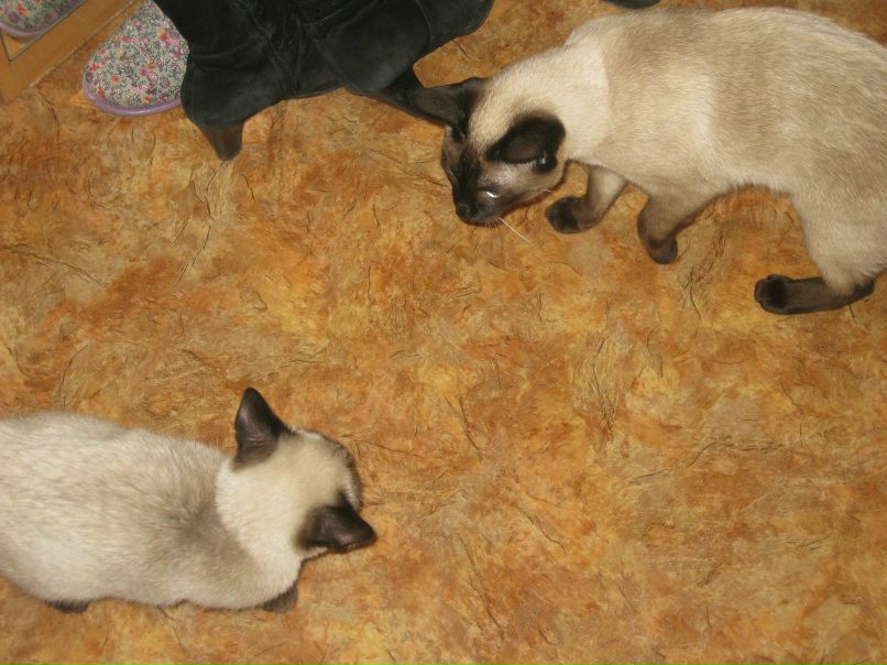 Марина Маркова | Санкт-Петербург