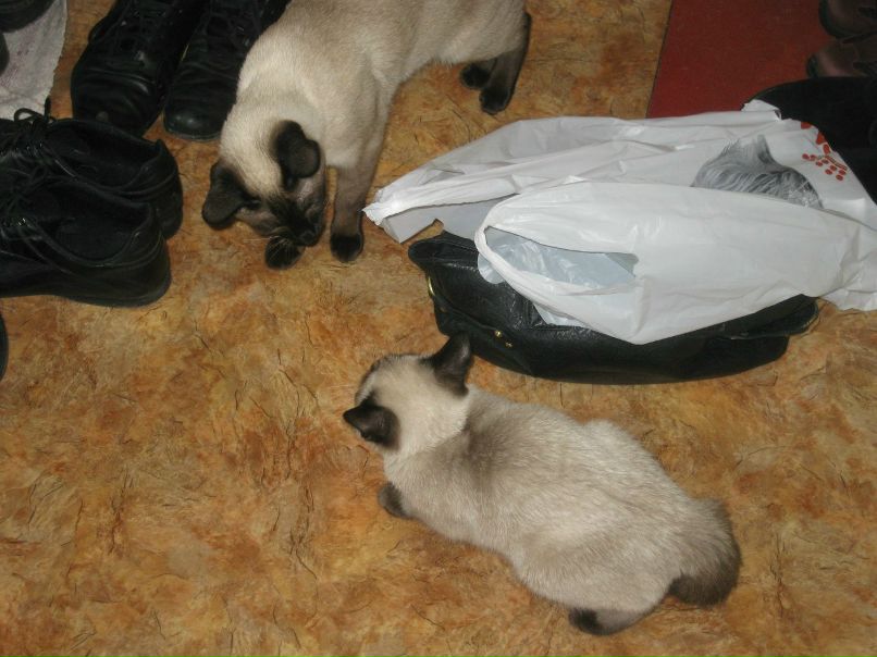 Марина Маркова | Санкт-Петербург