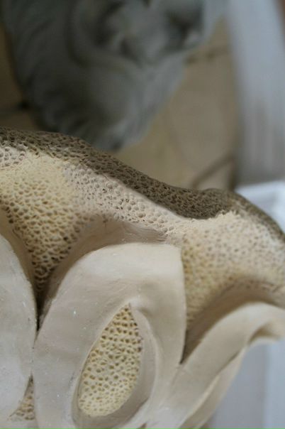 №88, Салават Муллануров, 55 лет, Калининград, Россия №88, Салават Муллануров, 55 лет, Калининград, Россия