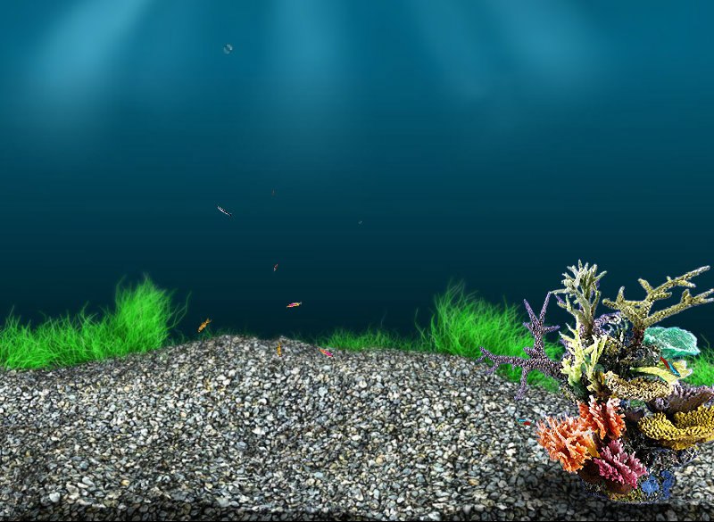 Арюна Санданова | 