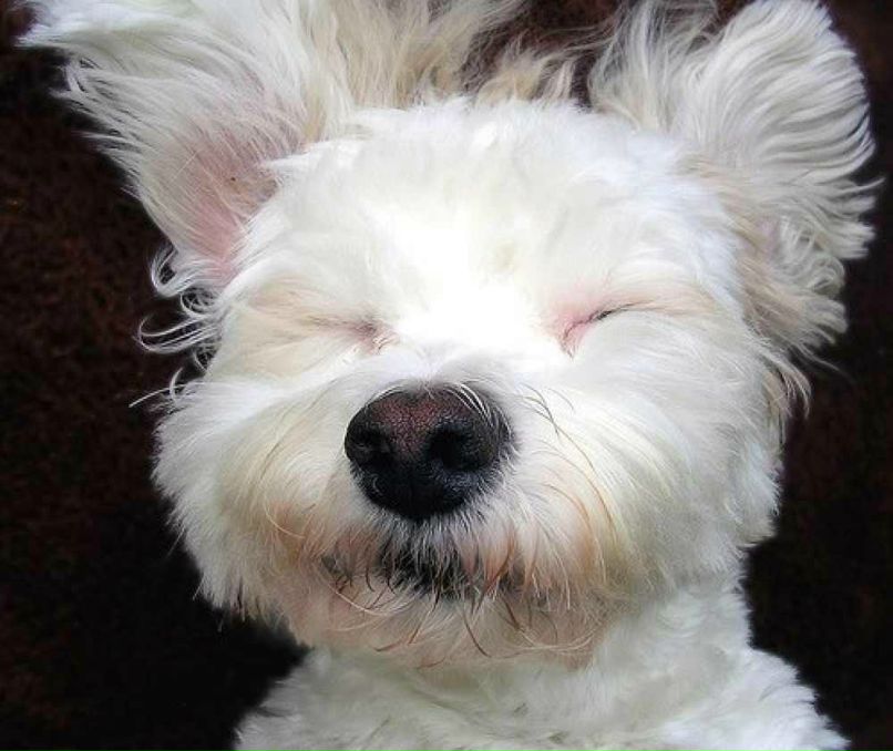 Tanya Knol | Москва