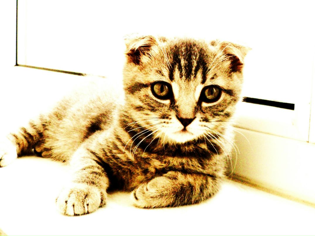 Анастасия Калинина | Санкт-Петербург