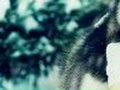 Леся Малиновская | Красноярск