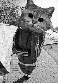 Соня Волк ✟ | Отрадный